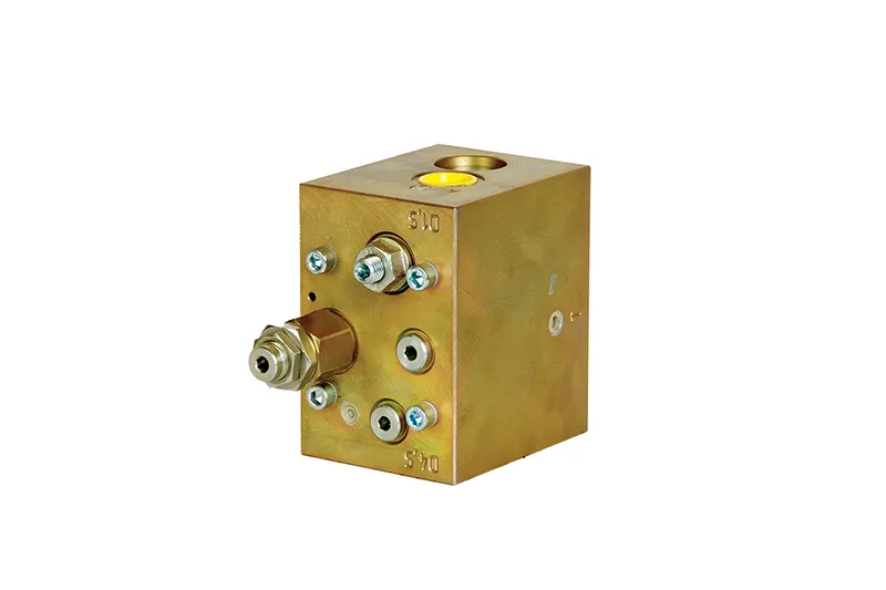 283736007 BASINÇ REGULATORU-BASINÇ AYAR VALFİ